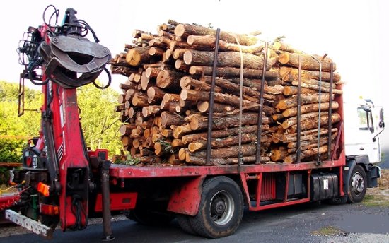 22-m3-en-2-ml–bois-de-chauffage-en-2-ml–1