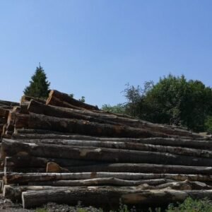 Camion de 20 stères, Hêtre Chêne Charme en grume