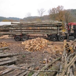 CHÂTAIGNIER EN GRUME - 50 STÈRES