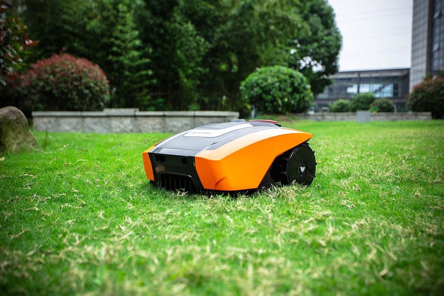 815MQQUfQbL._AC_SL1500_.jpg