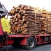 Pile de bois de chauffage sec prêt pour l'hiver