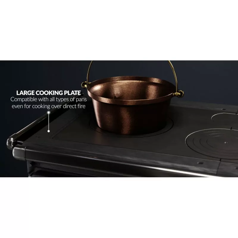 Cuisiniere-a-bois-Alaska-V16-12-Kw-1.webp