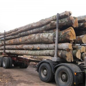 Camion de 60 stères, Hêtre Chêne Charme en grume