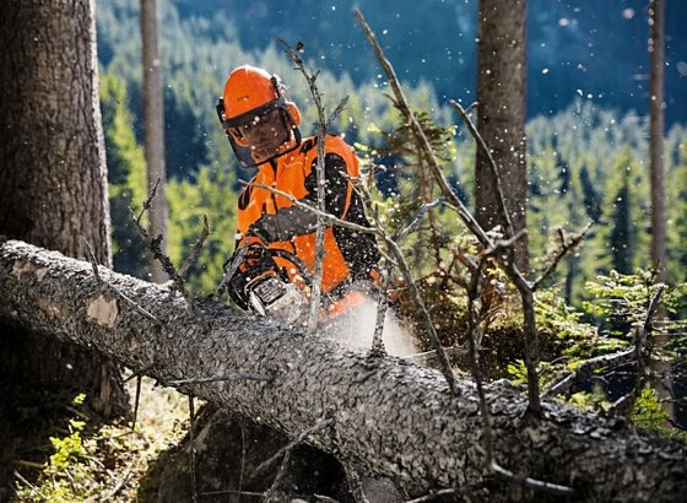 stihl-tronconneuse-ms-261-c-m-1-1.webp